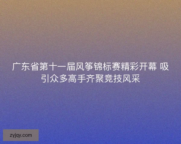 广东省第十一届风筝锦标赛精彩开幕 吸引众多高手齐聚竞技风采